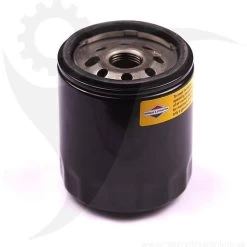 Briggs & Stratton Filter Oil 491056