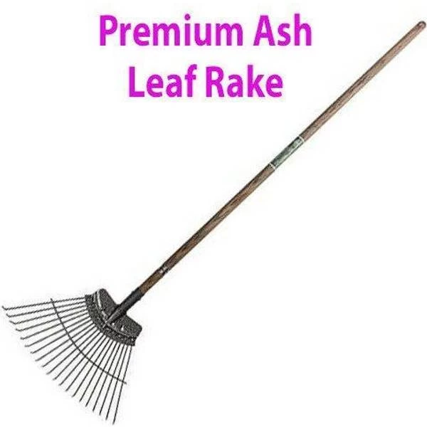 Premium Carbon Steel 1550mm Leaf Rake Garden Leaves 1 Premium Carbon Steel 1550mm Leaf Rake Garden Leaves