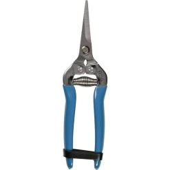 RHS British Meadow Flower