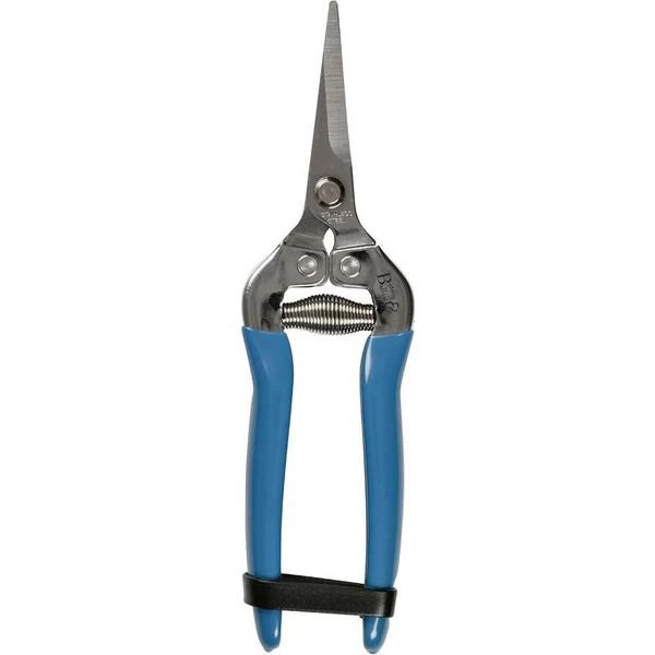 RHS British Meadow Flower 1 RHS British Meadow Flower